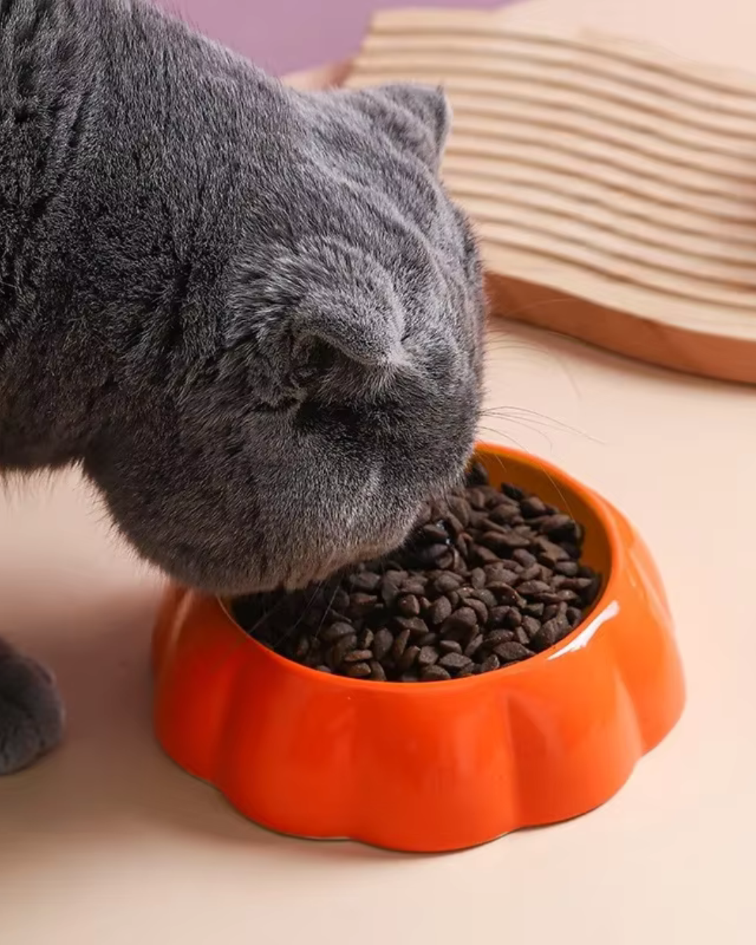 Pet Ceramic Bowls